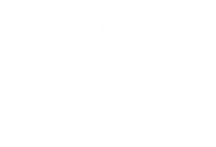 logo light